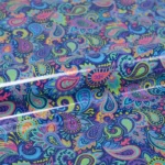 P0007-PAISLEY-PARTY